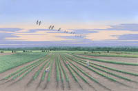 Morning Glory Farm, Martha's Vineyard by Christopher Crofton-Atkins